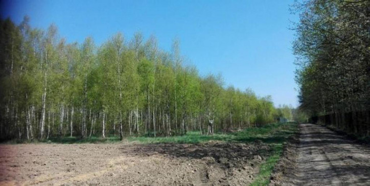 Działka Sprzedaż Działdowo 3