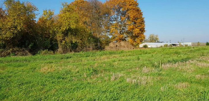 Działka Sprzedaż Gryźliny 1