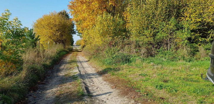 Działka Sprzedaż Gryźliny 3