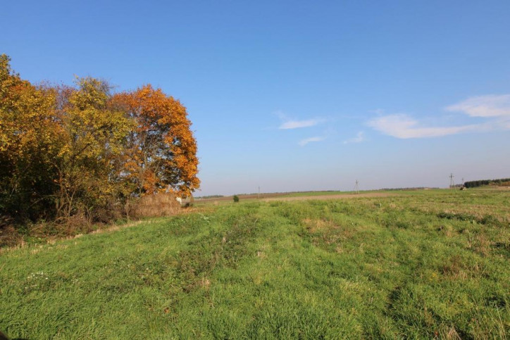Działka Sprzedaż Gryźliny 4