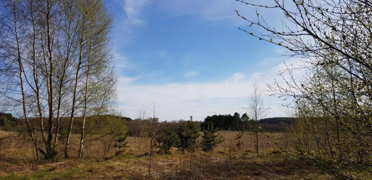 Działka Sprzedaż Ługwałd 4