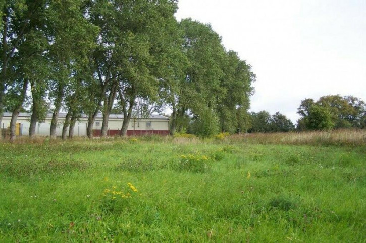 Działka Sprzedaż Orneta 3
