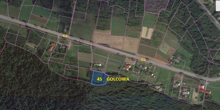 Działka Sprzedaż Golcowa 1