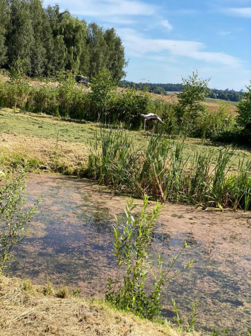 Działka Sprzedaż Wapnik 5