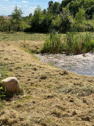 Działka Sprzedaż Wapnik 6