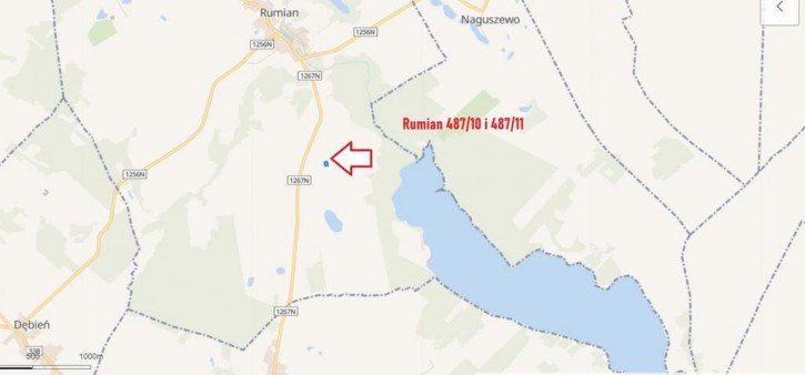 Działka Sprzedaż Rumian 1