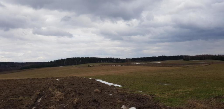 Działka Sprzedaż Rumian 2