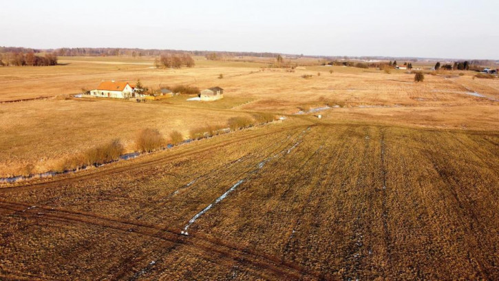 Działka Sprzedaż Wenecja 3