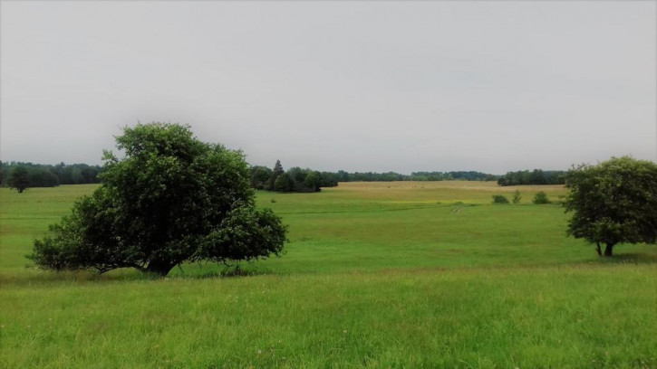 Działka Sprzedaż Wenecja 9