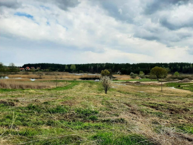 Działka Sprzedaż Podągi 2