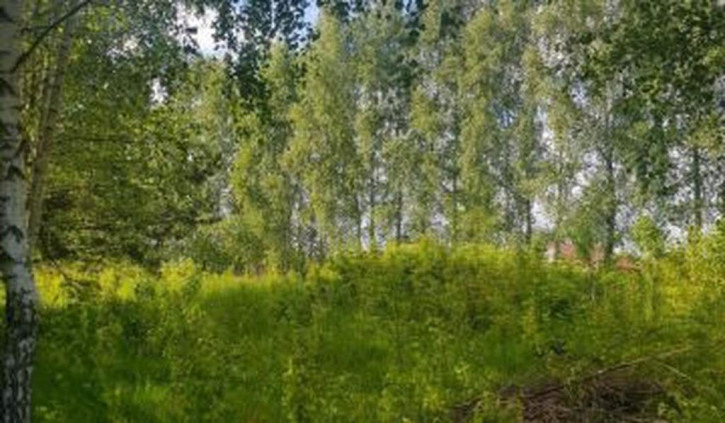 Działka Sprzedaż Jemiołowo 3