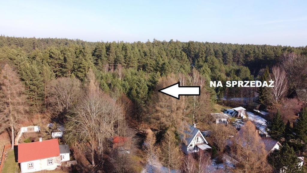 Działka Sprzedaż Krzywonoga