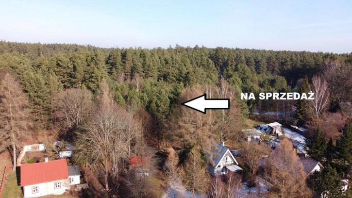 Działka Sprzedaż Krzywonoga 1