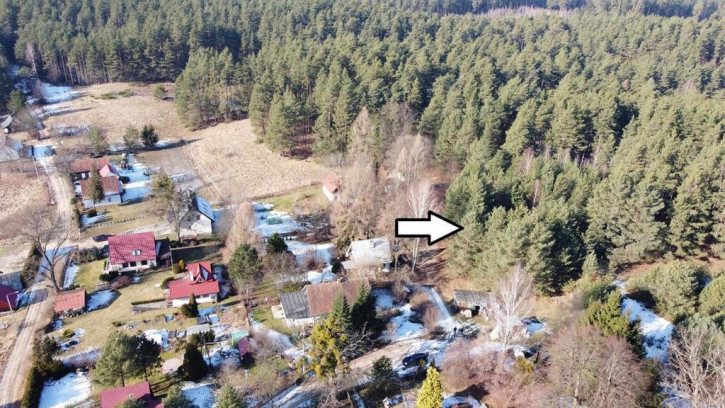 Działka Sprzedaż Krzywonoga 2