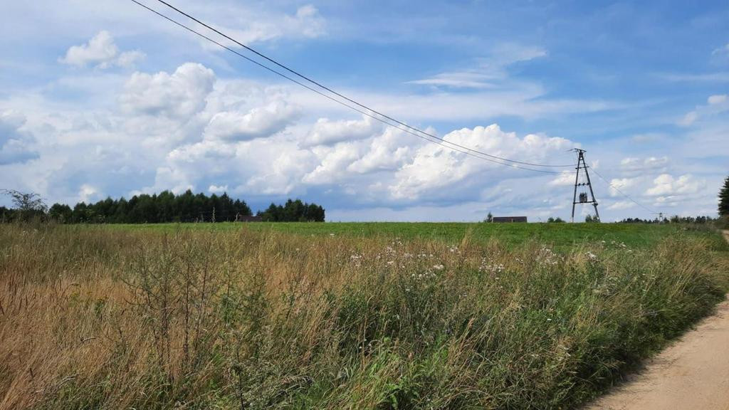 Działka Sprzedaż Suryty