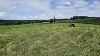 Działka Sprzedaż Suryty