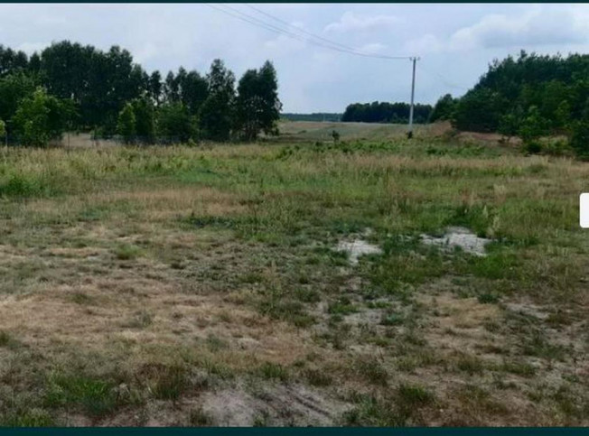 Działka Sprzedaż Bryńsk 3