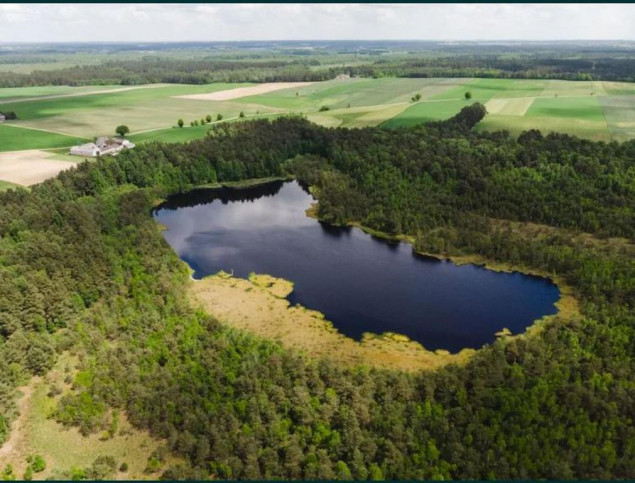Działka Sprzedaż Wąpiersk 2