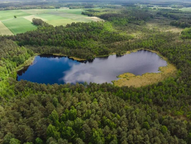 Działka Sprzedaż Wąpiersk 3