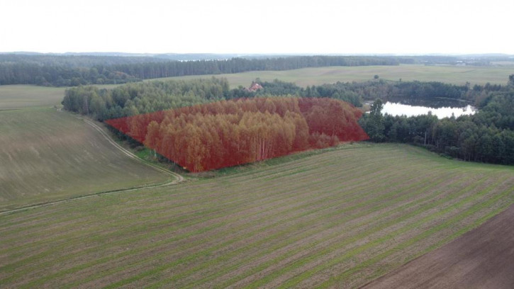 Działka Sprzedaż Rumian 5