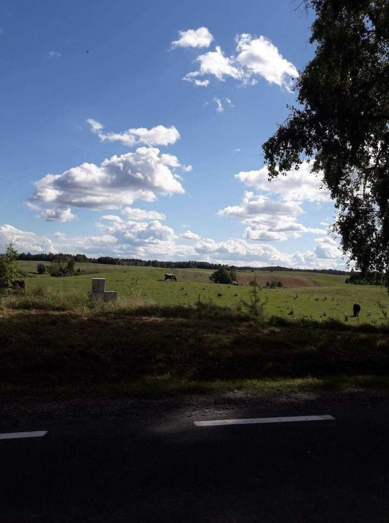 Działka Sprzedaż Przytuły