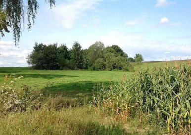Działka Sprzedaż Lądek