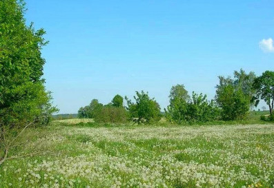 Działka Sprzedaż Lądek
