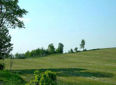 Działka Sprzedaż Lądek