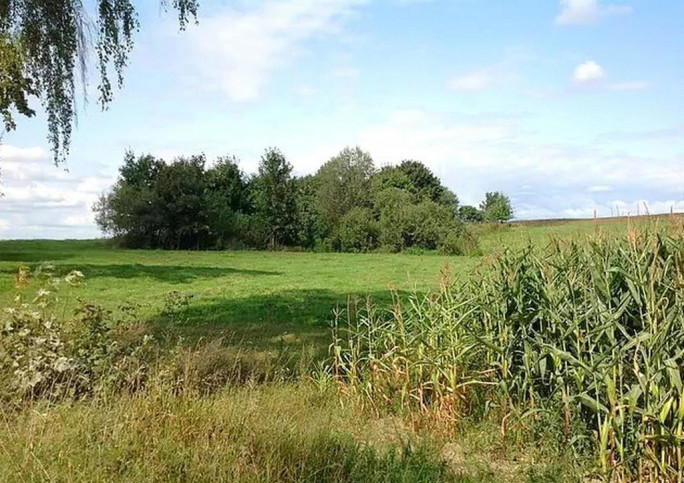 Działka Sprzedaż Lądek 4