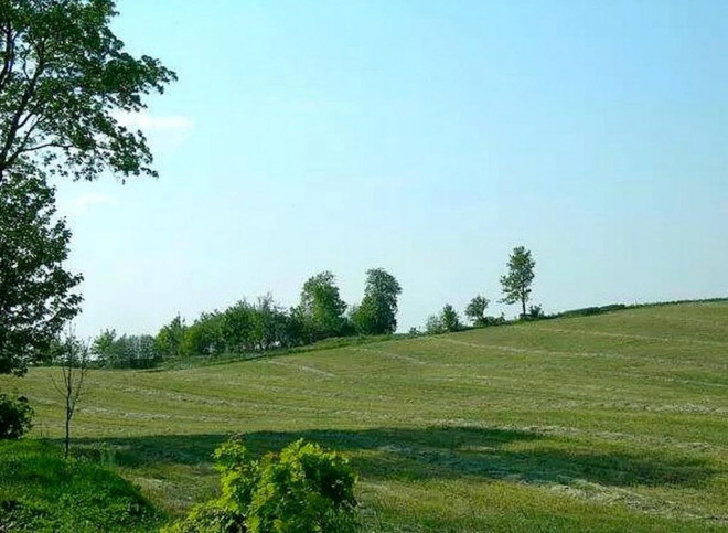 Działka Sprzedaż Lądek 5