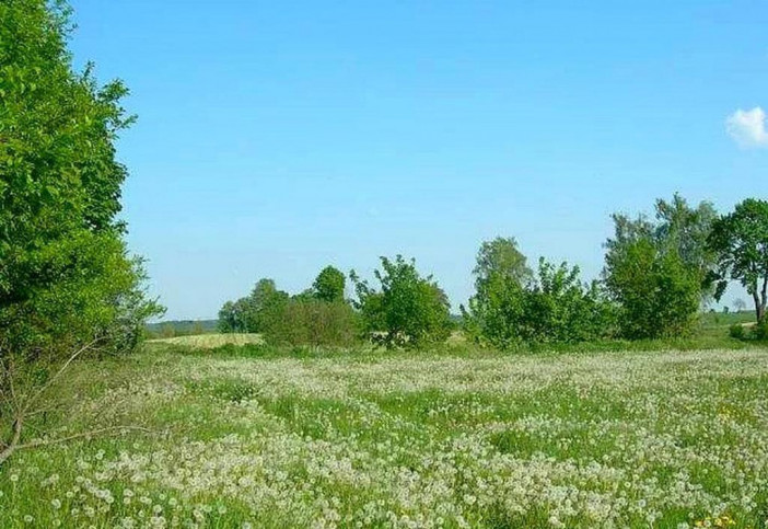 Działka Sprzedaż Lądek 6