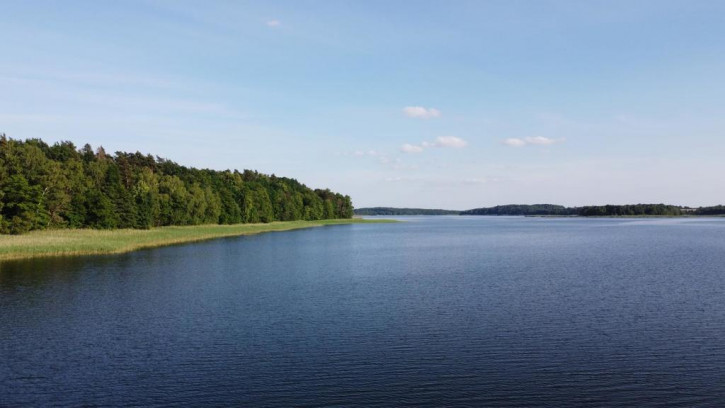 Działka Sprzedaż Ostrowite 4