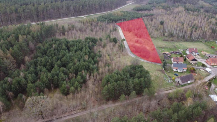 Działka Sprzedaż Pokrzywy 1