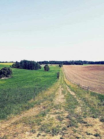 Działka Sprzedaż Nowa Wieś 5
