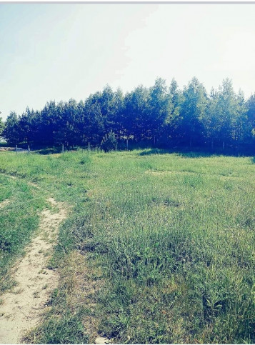Działka Sprzedaż Nowa Wieś 7