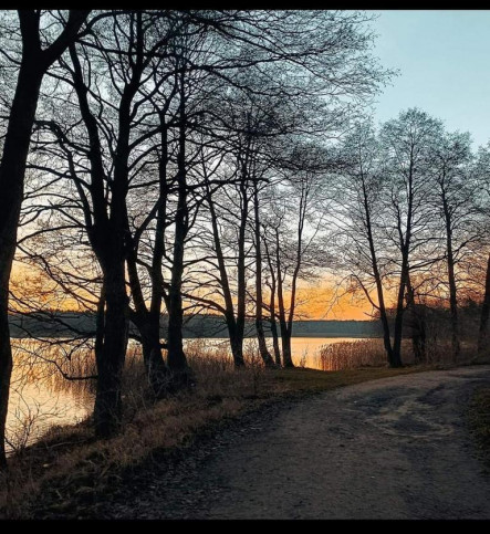 Działka Sprzedaż Nowa Wieś 11