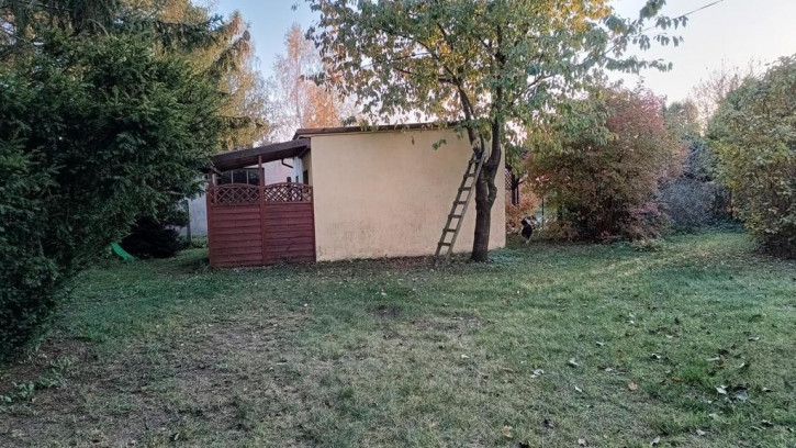 Mieszkanie Sprzedaż Działdowo 9