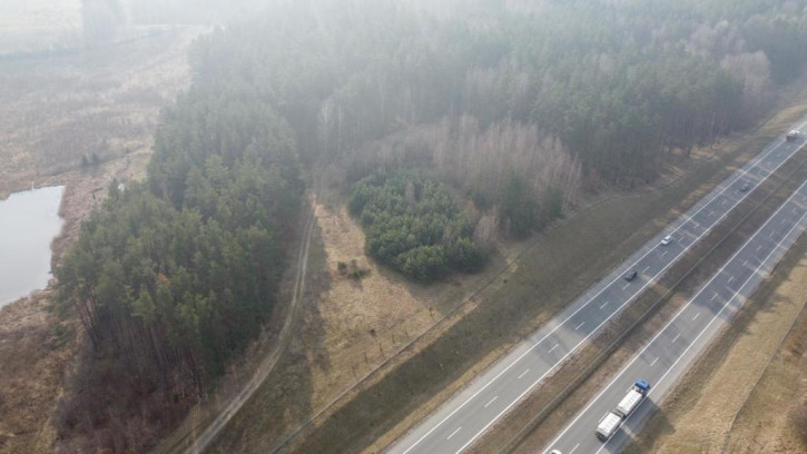 Działka Sprzedaż Dorotowo 4