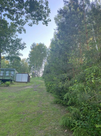 Działka Sprzedaż Rybno