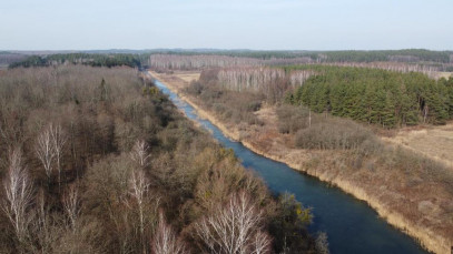 Działka Sprzedaż Guja