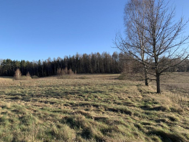 Działka Sprzedaż Opin 2