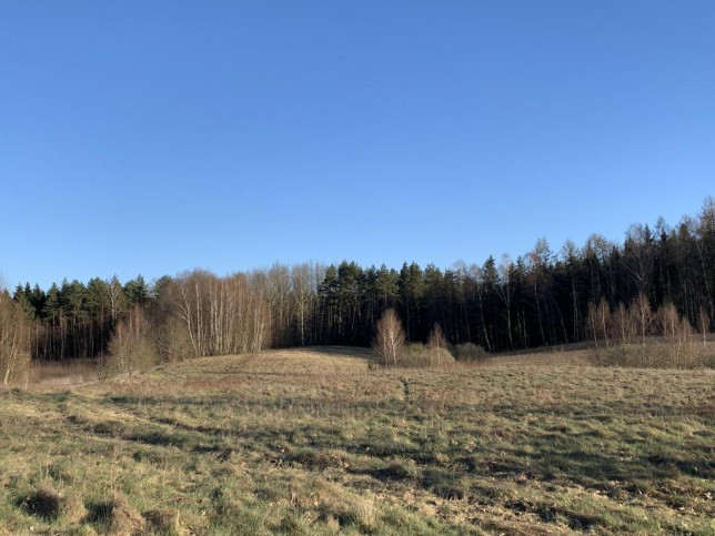 Działka Sprzedaż Opin 3