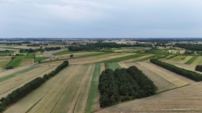 Działka Sprzedaż Gnojno