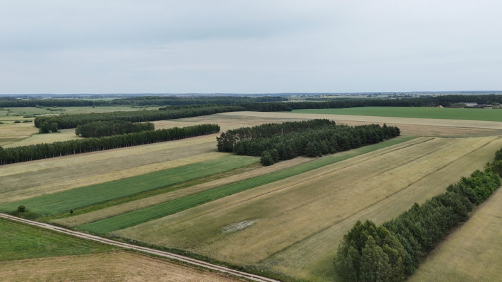 Działka Sprzedaż Gnojno 4