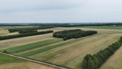 Działka Sprzedaż Gnojno