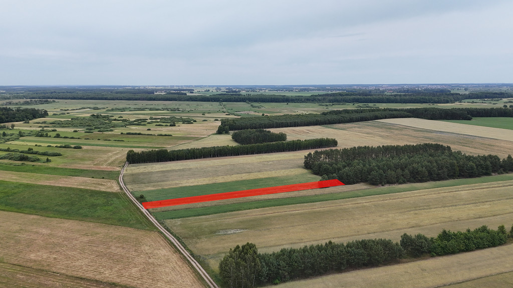 Działka Sprzedaż Gnojno