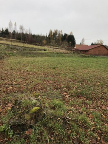 Działka Sprzedaż Miłakowo 8