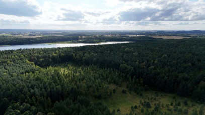 Działka Sprzedaż Naguszewo