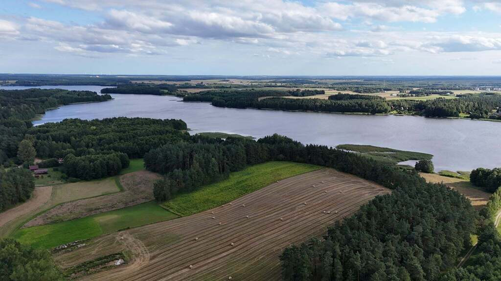 Działka Sprzedaż Naguszewo