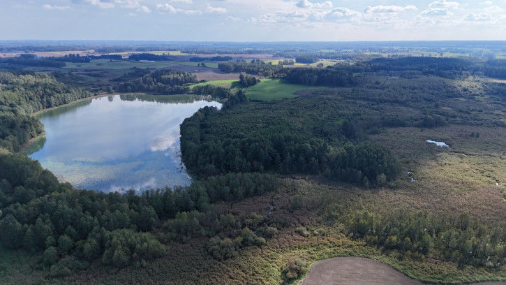 Działka Sprzedaż Mokiny 3